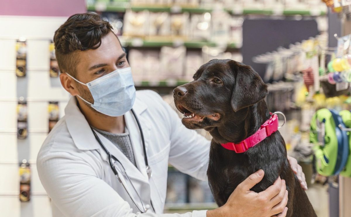Veterinário no Pet Shop ao lado de um cachorro preto